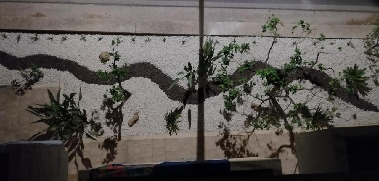 B&B Profumi Di Sicilia Valderice Dış mekan fotoğraf